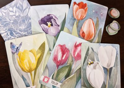 A Selection of Cheerful Tulips from Floriferous